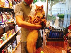 -PETKIT小佩宠物(古北店)