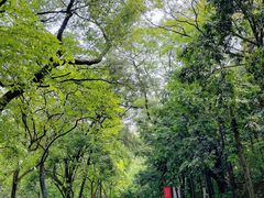 -点都德(广州白云山景区南门店)