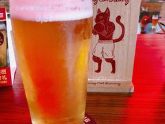 -Boxing Cat Brewery拳击猫精酿啤酒馆(永福店)