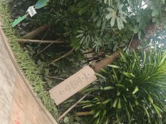 -国信南山温泉