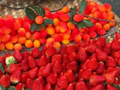 -雍容荟活龙虾自助餐(IFS黑金店)