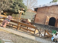 -HERRE·FARM 赫尔露营农场·团建聚会包场