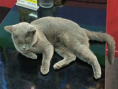 -203密室体验馆·逃脱·聚会·亲子(工体店)