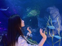 -沈阳海洋探索中心