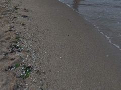 -海滨浴场