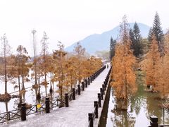 -田野绿世界