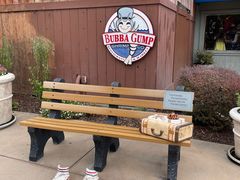 -Bubba Gump Shrimp