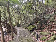 -花溪风景区