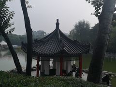 -莲湖公园