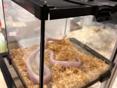-成都世纪城新国际会展中心