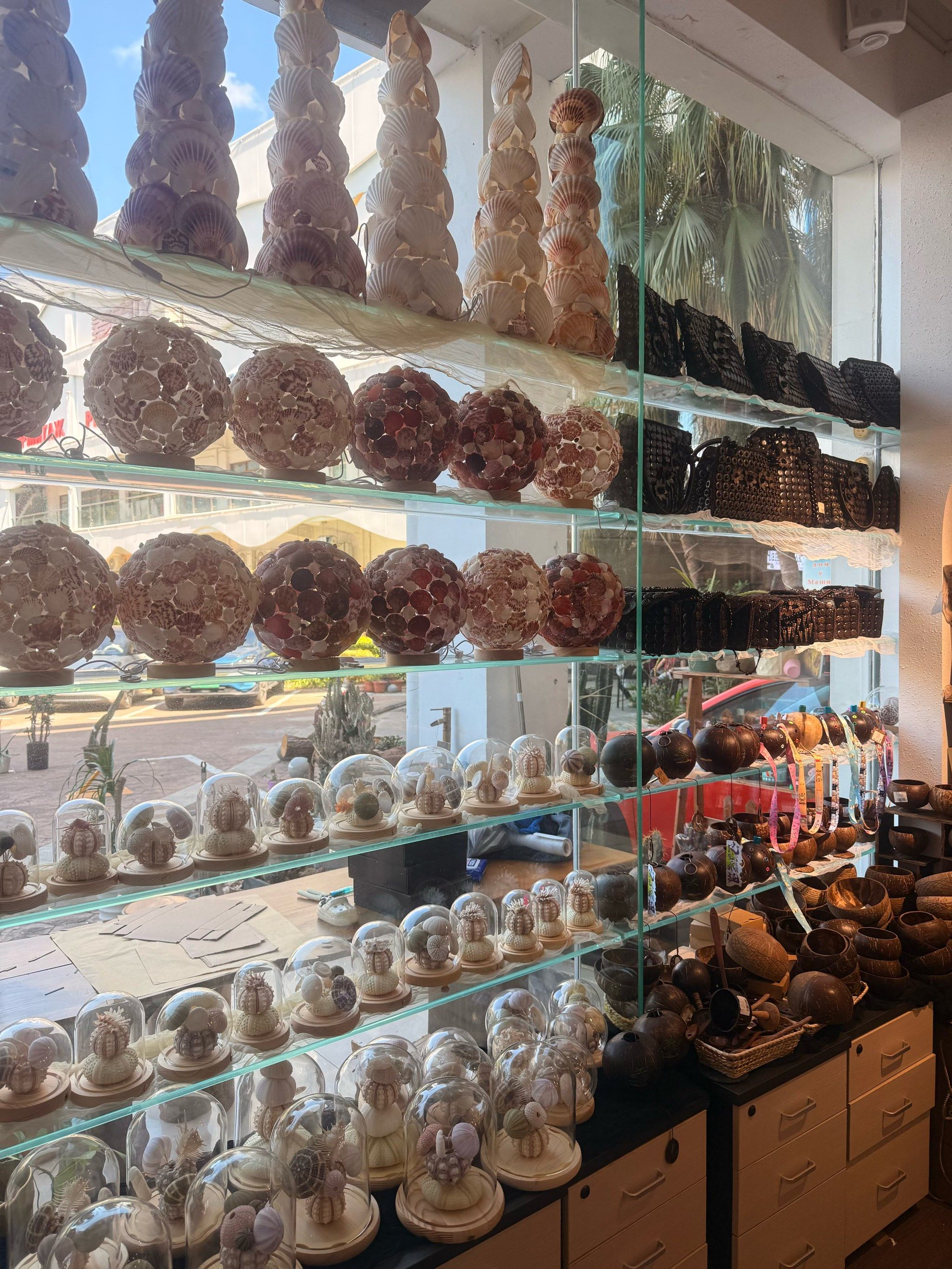 来三亚旅游的千万别错过这家贝壳礼品店!刚靠近
