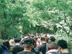 -溪口-滕头旅游景区