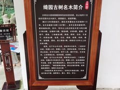 -绮园景区