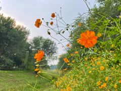 -廊坊文化艺术中心