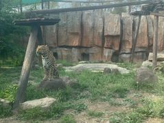 -沈阳森林动物园
