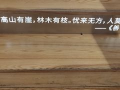 -猫的天空之城概念书店(苏州平江店)