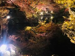 -醍醐寺