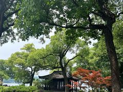 -杭州西湖柳莺里酒店·闻莺厅