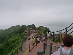 -涉地可支