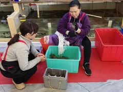 -蟹天蟹地农家菜·阳澄湖大闸蟹(浅水湾店)