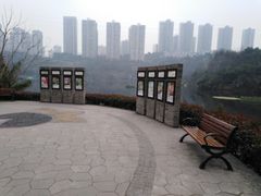 -重庆彩云湖湿地公园