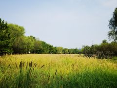 -翠湖国家城市湿地公园
