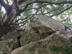 -宋井风景区