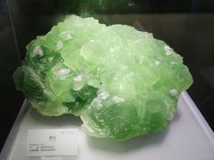 -湖南省地质博物馆