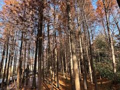 -云龙湖旅游景区