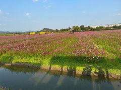 -径山花海