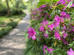 -虎丘山风景名胜区