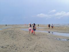 -北海金海湾红树林生态旅游区