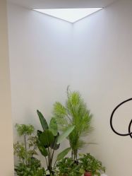 -VE专注问题肌·赛诺龙&科学美肤中心