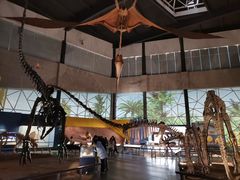 -湖南省地质博物馆