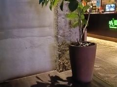 -外婆家(杭州马塍店·杭帮菜名店)