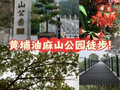 -黄埔油麻山森林公园
