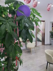 -痘院长·祛痘·科技美肤