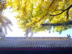 -红螺寺