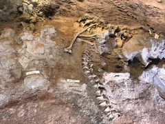 -世界恐龙谷景区