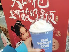 -一只酸奶牛(益州国际店)