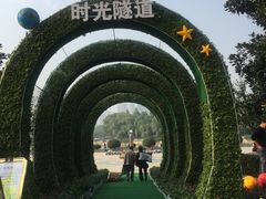 -西北湖绿化广场