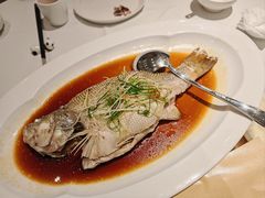 清蒸鲈鱼-眉州东坡(清河万象汇店)