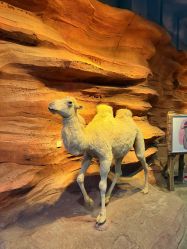 -酷嗒动物文化乐园(cutezoo西溪乐天城店)