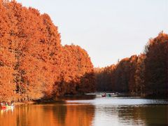 -上海海湾国家森林公园