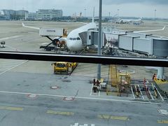 -虹桥机场国航贵宾室v8