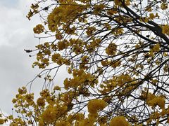 -中国移动南方基地