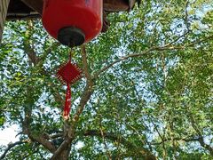 -溪口-滕头旅游景区