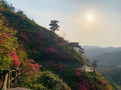 -木兰云雾山
