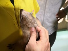 -藦茜花园宠物主题亲子互动体验馆(国顺东路店)