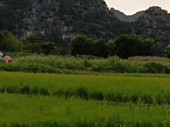 -万峰林风景区